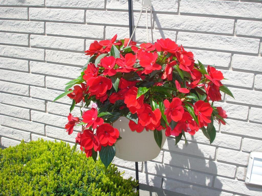 מפלי הניאגרה Trillium Bed & Breakfast מראה חיצוני תמונה