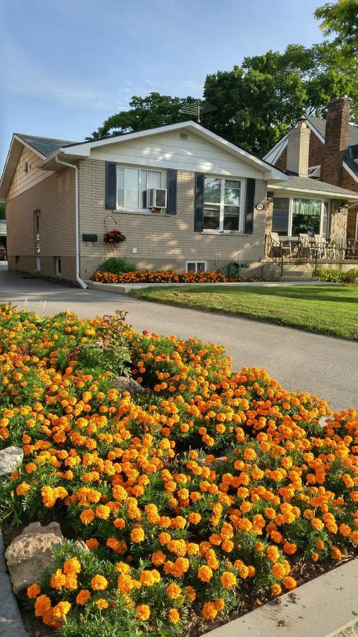 מפלי הניאגרה Trillium Bed & Breakfast מראה חיצוני תמונה